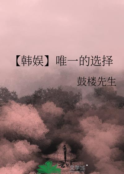 【韩娱】唯一的选择